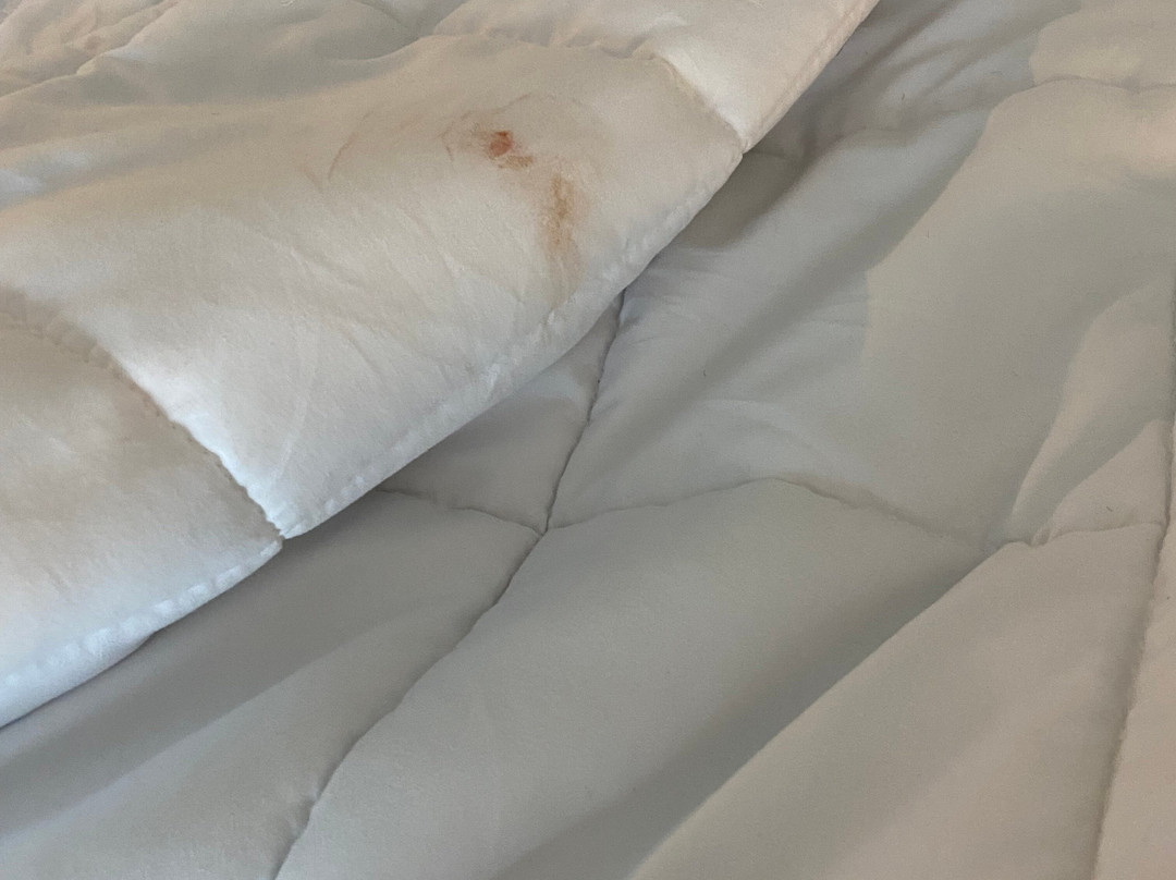 Hampton Inn By Hilton Detroit Southfield主图