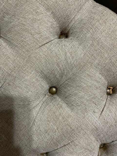 Forrest Hills Resort主图