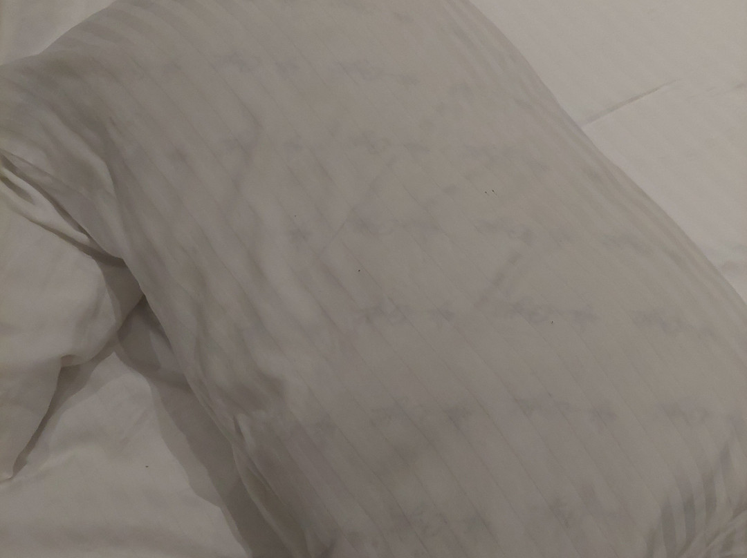 Beach Grand and Spa Premium主图