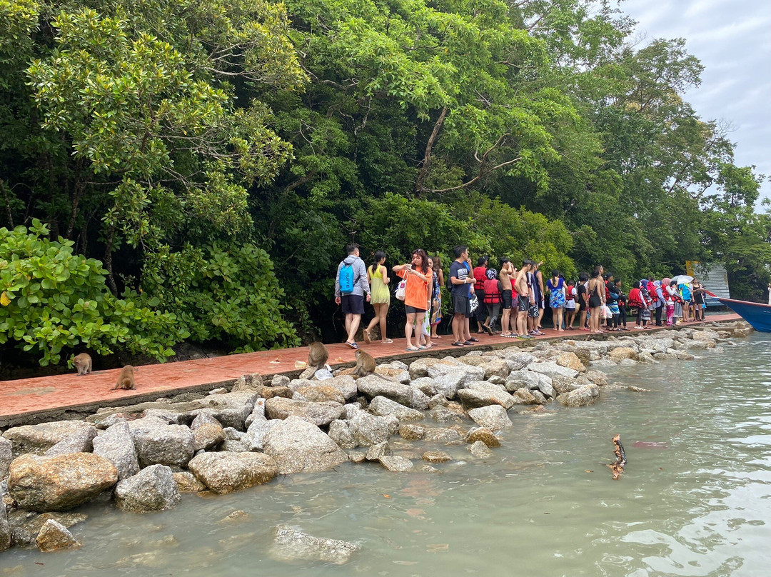 Dayang Bunting Marble Geoforest Park-Pulau Dayang必去景点