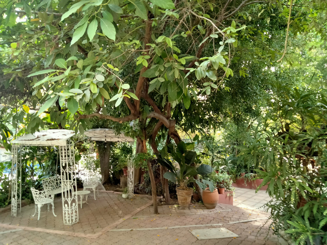 El Molino Hotel Boutique主图