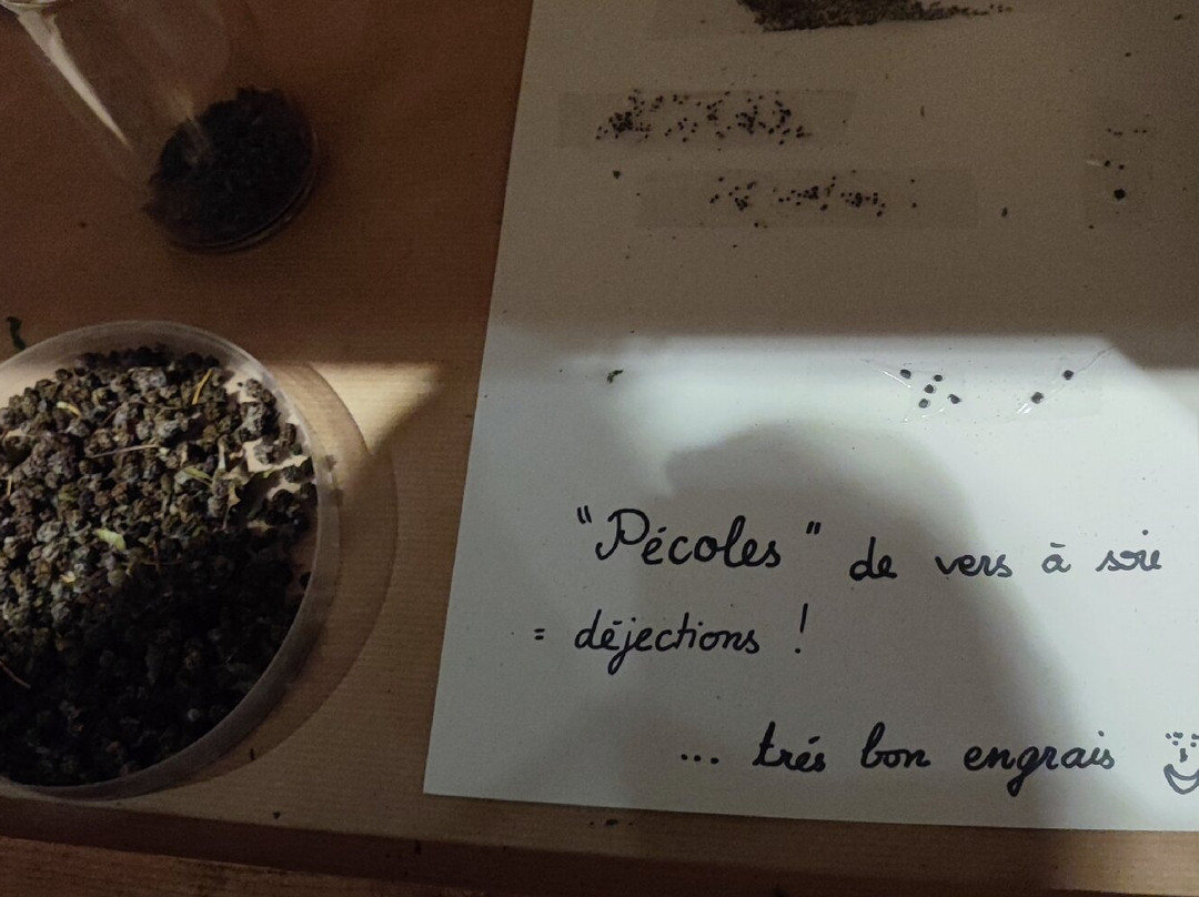 Verasoie Musée Magnanerie景点图片