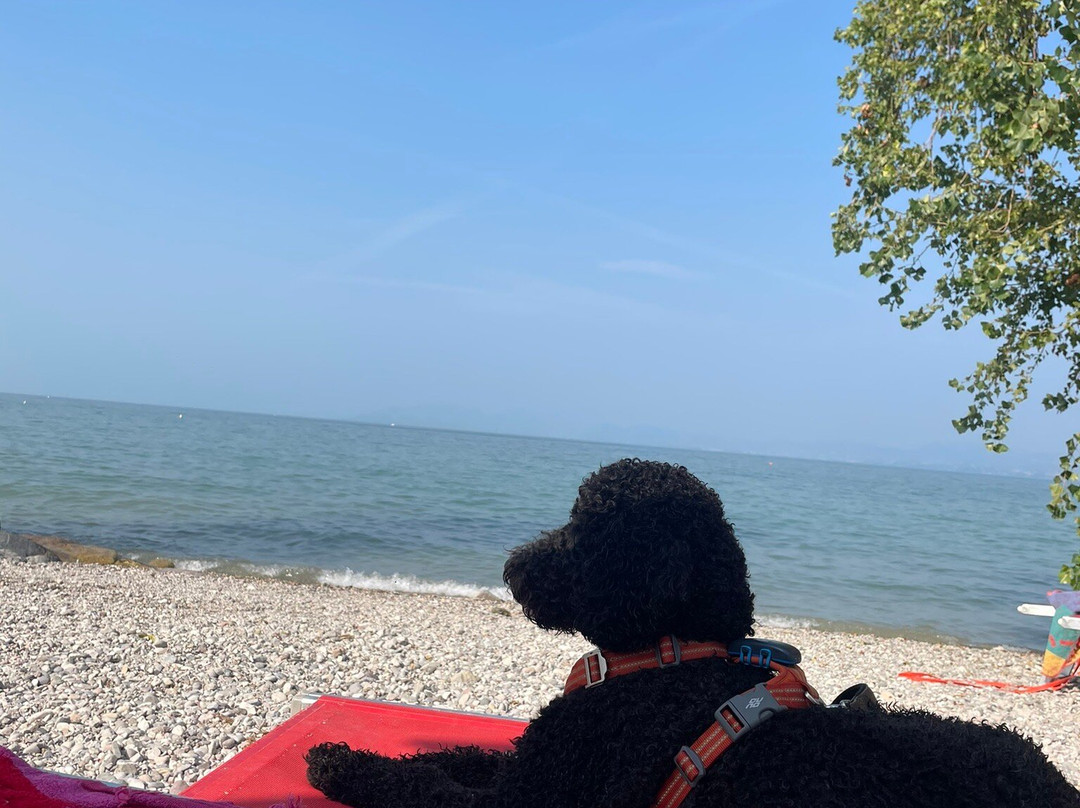 Bracco Baldo Beach景点图片