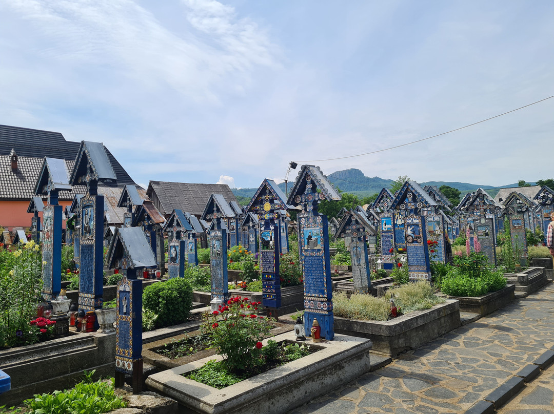 Cimitirul Vesel景点图片