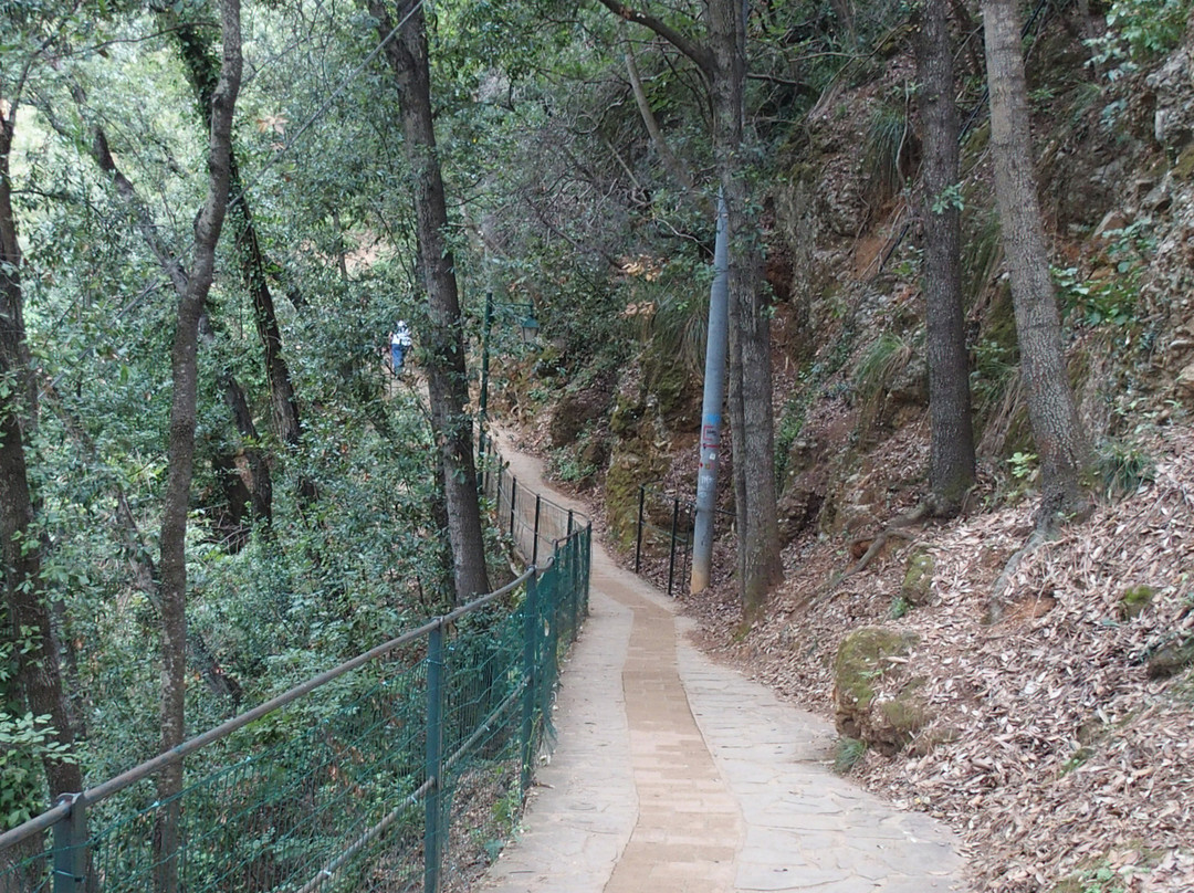 Red Carpet Coastal Walk-拉帕洛必去景点