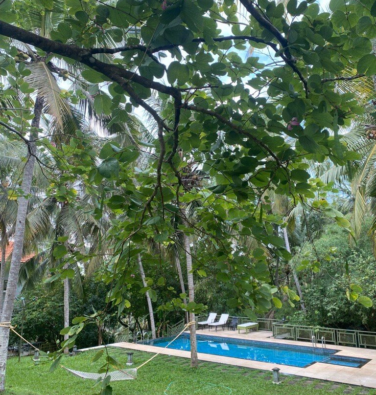 Aanandakosha Ayurveda Retreat主图