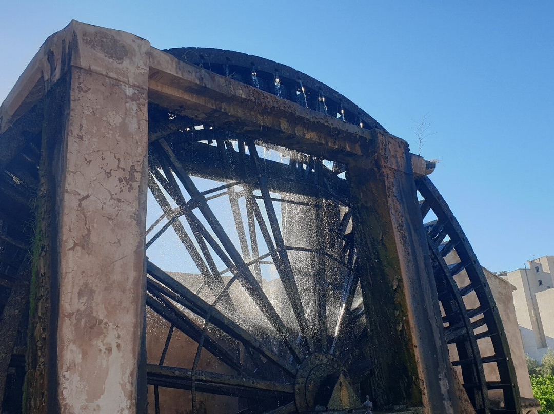 Noria Grande de Abarán-Abarán必去景点