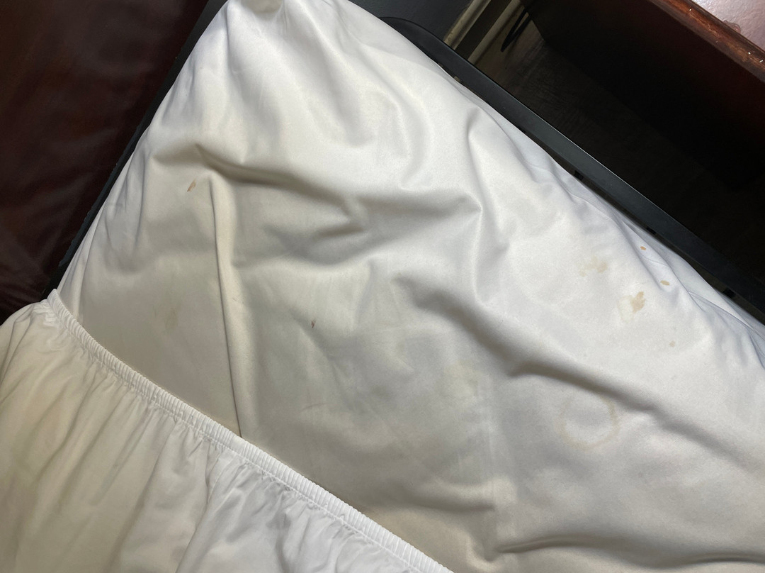 马洞汽车旅馆主图