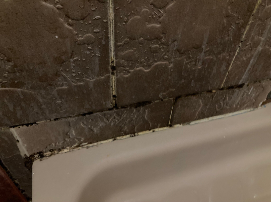 Tarsanas Hotel Tavern On The Beach主图