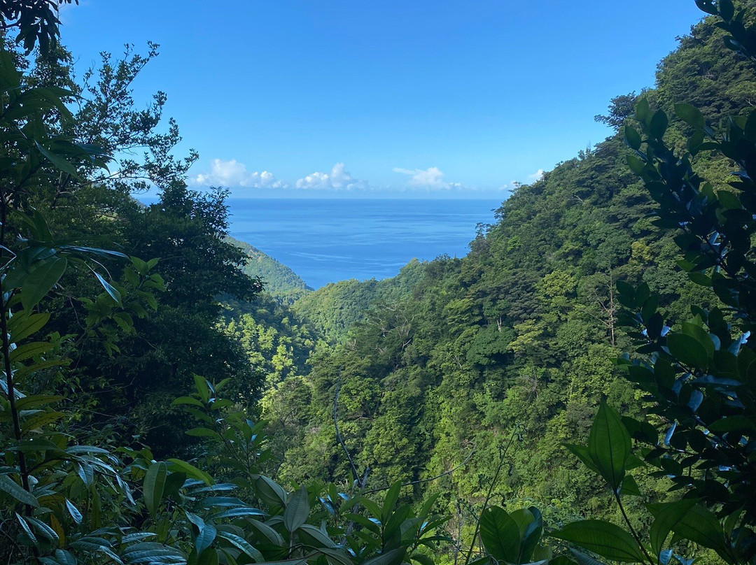 Waitukubuli Trail-罗索必去景点