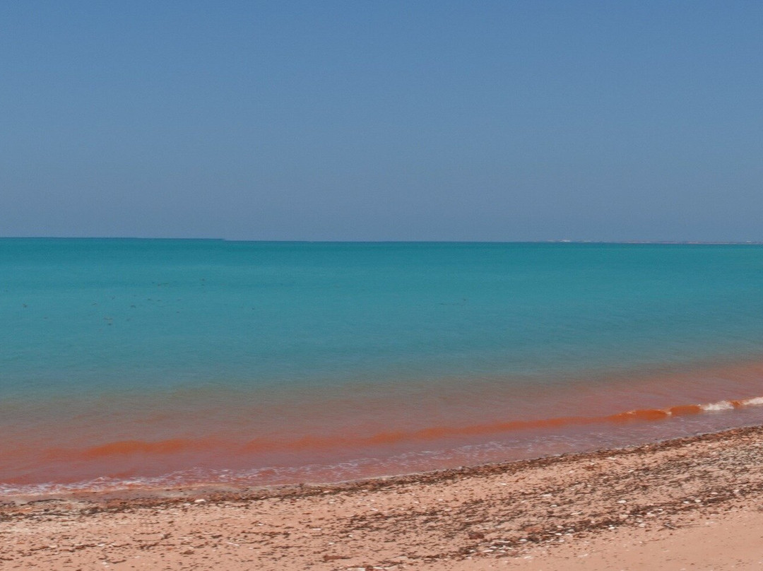 Broome Bird Observatory景点图片