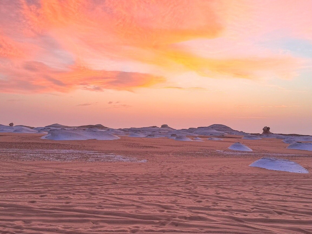 Desert Treasures Tours - Day Tours景点图片
