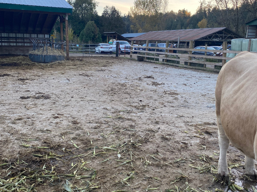 Aldor Acres Family Farm-兰里市必去景点