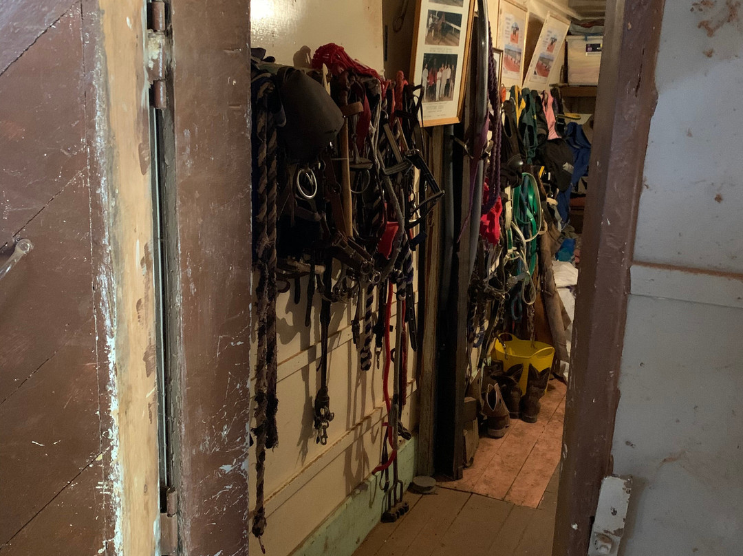 Silverton Photography Gallery-Silverton必去景点