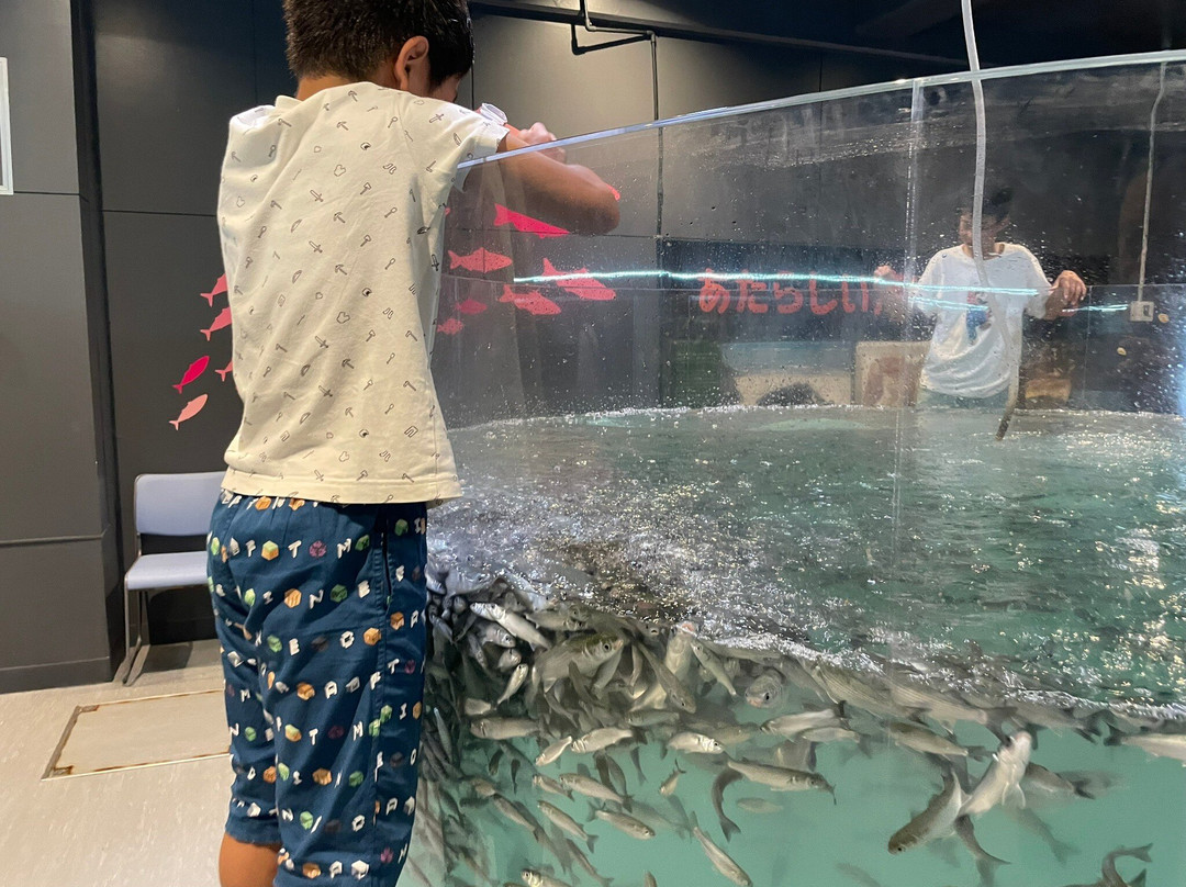 Muroto Haiko Aquarium-室户市必去景点
