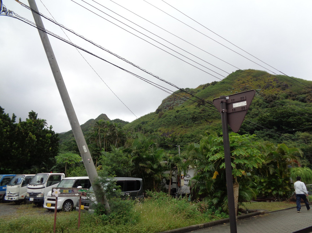 Mt. Shokensaki-小笠原村必去景点