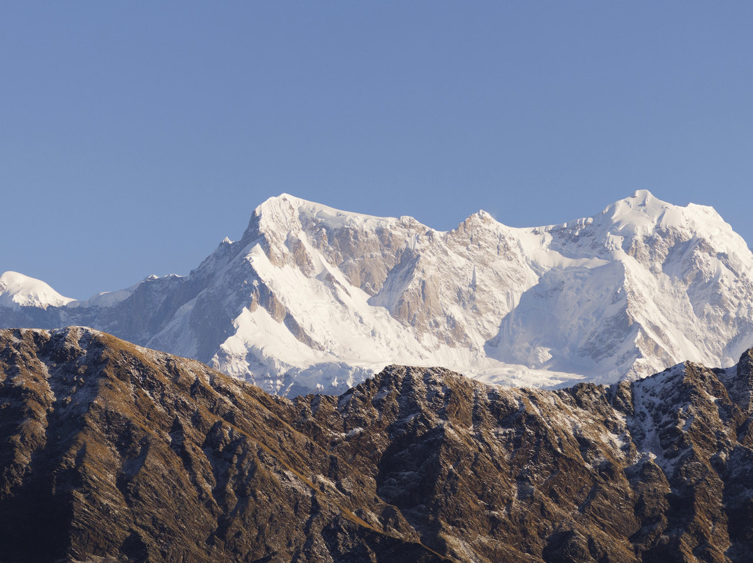 Himalaya Birding Guide景点图片