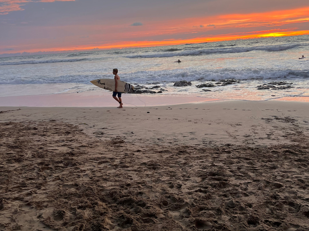 Playa Avellana-Playa Avellanas必去景点