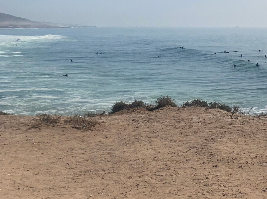 Adrenalin Surf Maroc景点图片