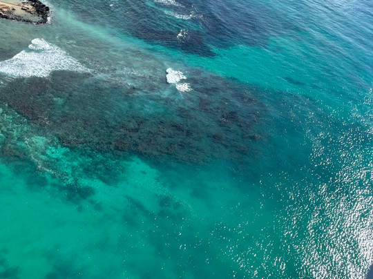 Magnum Helicopters-火奴鲁鲁必去景点