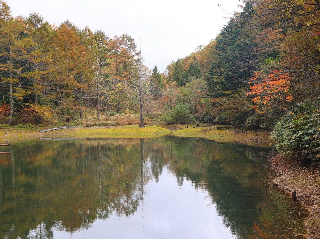 Ropeway Heavens Sonohara in Fujimidai Highland-阿智村必去景点