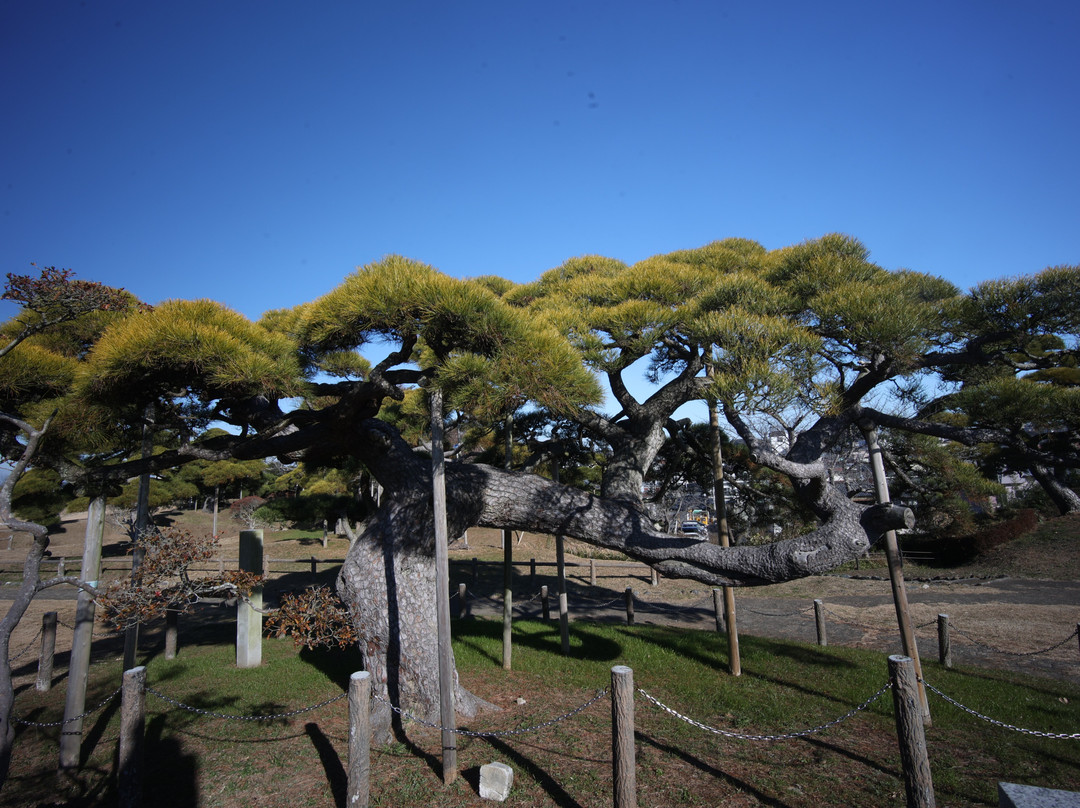 Minato Park-常陆那珂市必去景点