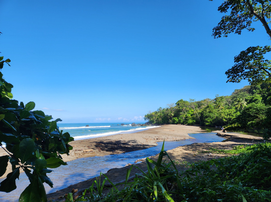 Rio Claro Aventuras Eco-Tours景点图片
