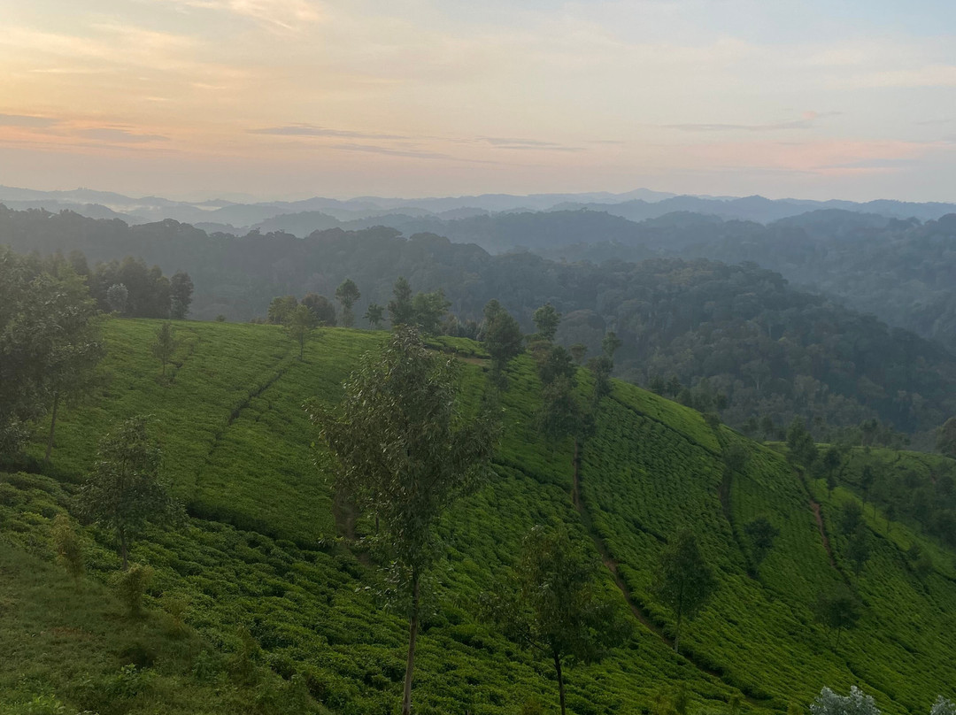 Gorilla Highlands-卡巴莱必去景点