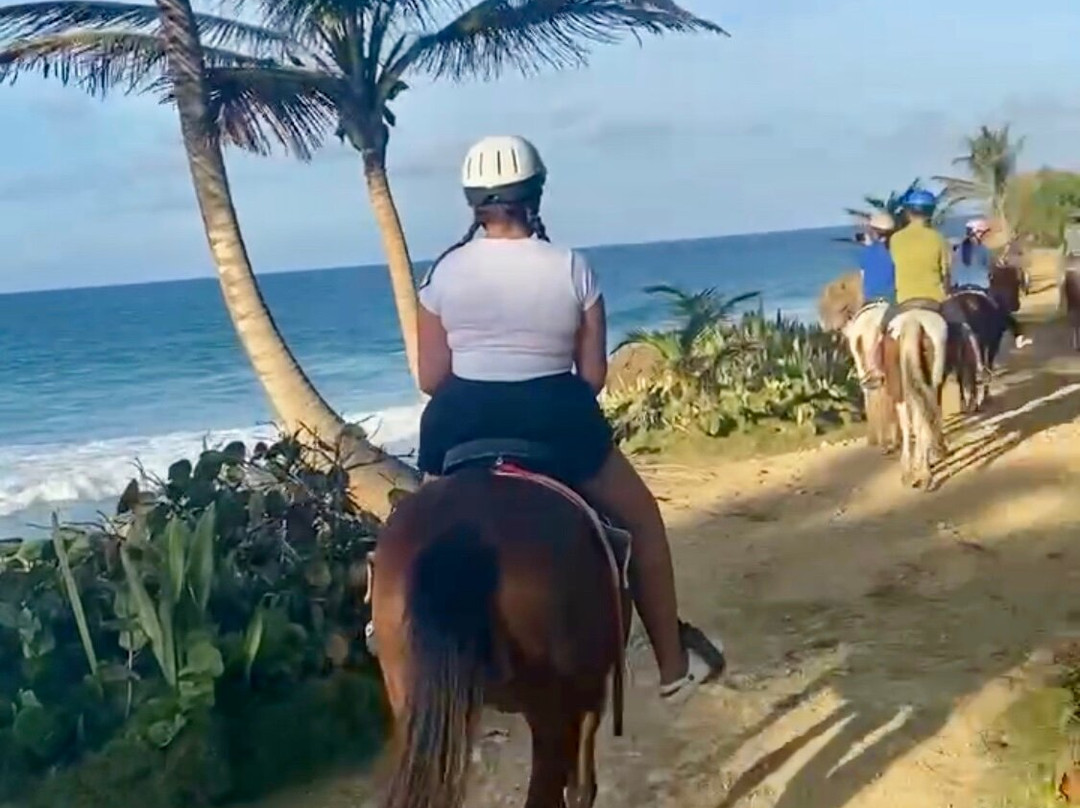 Horseback Rides by Pintos R Us-吕康必去景点