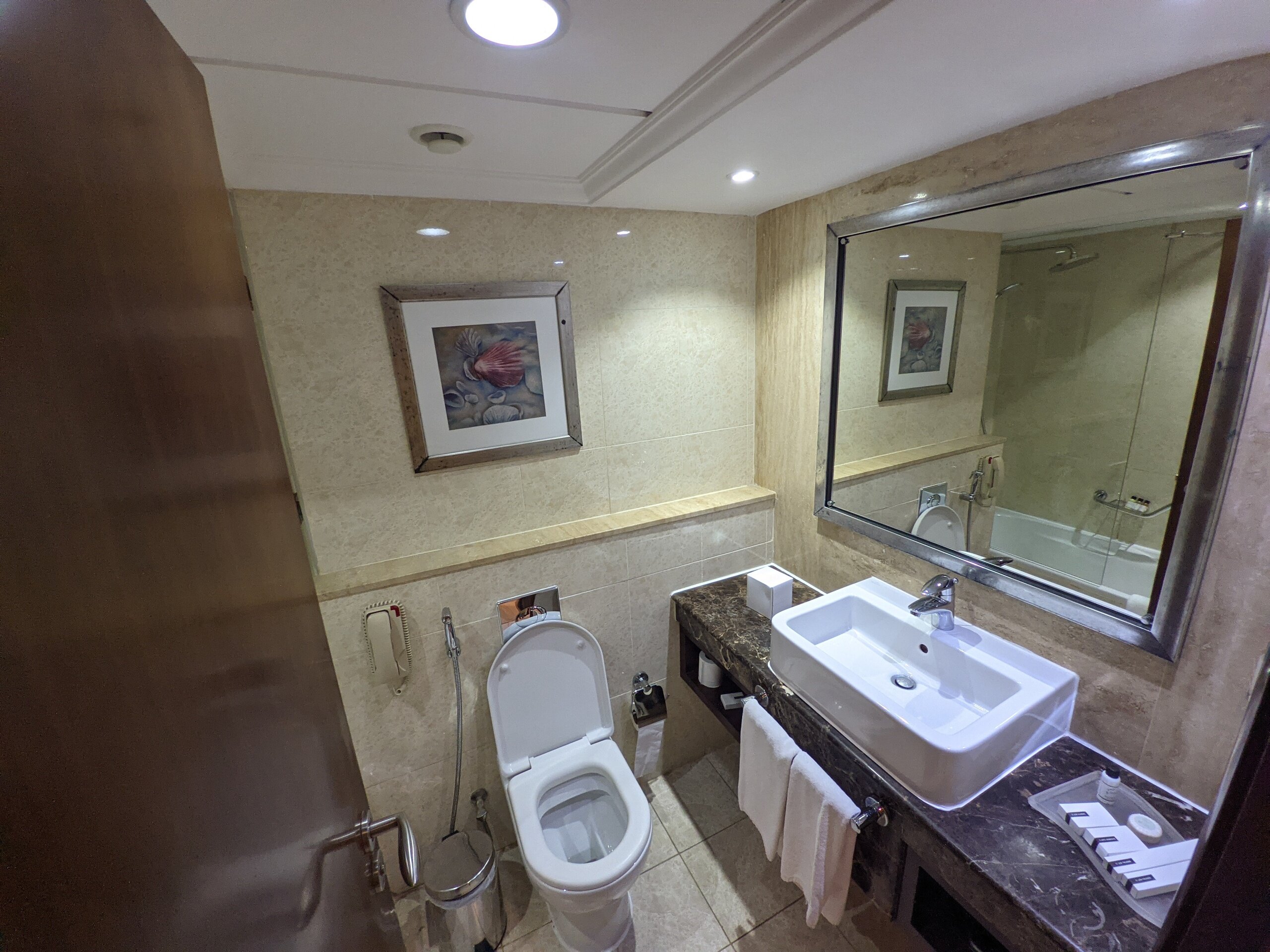 Oceanic Khorfakkan Resort & Spa-浴室