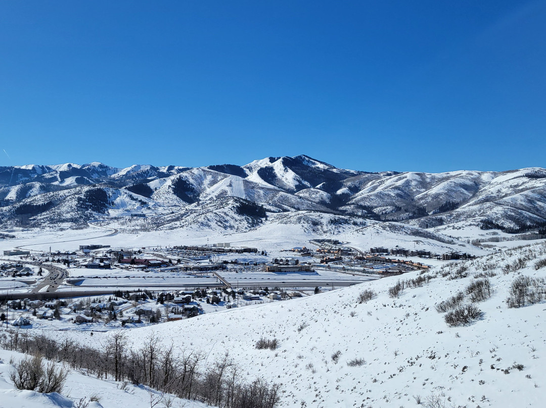 Swaner Preserve and EcoCenter景点图片