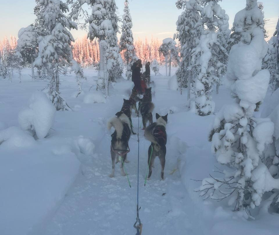 Husky Ranch Lapland-Kolari必去景点