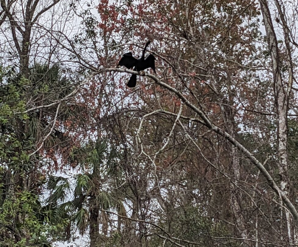 Get Up And Go Kayaking - Rock Springs-Apopka必去景点