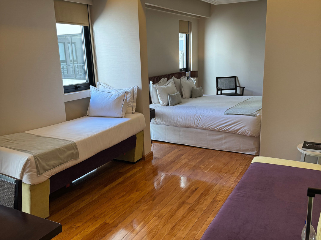 Esplendor by Wyndham Buenos Aires Tango主图