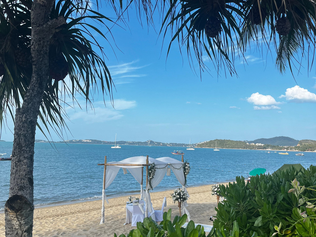 波普托度假村主图