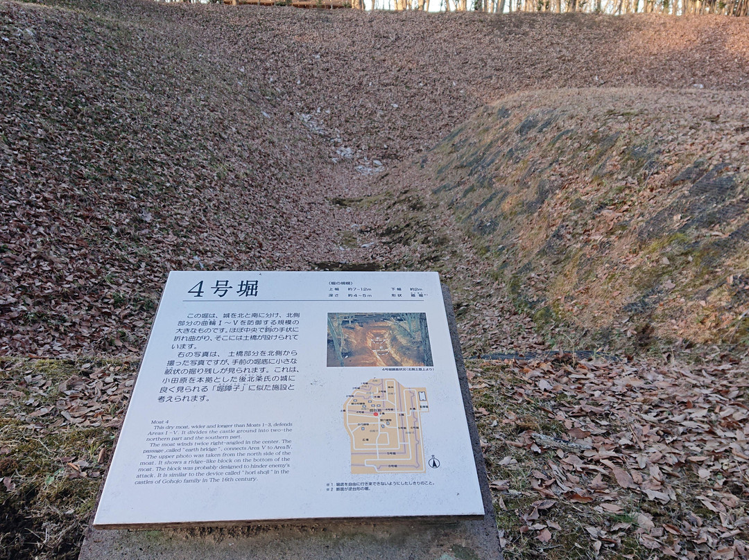 Tobiyama Joshiseki Park景点图片