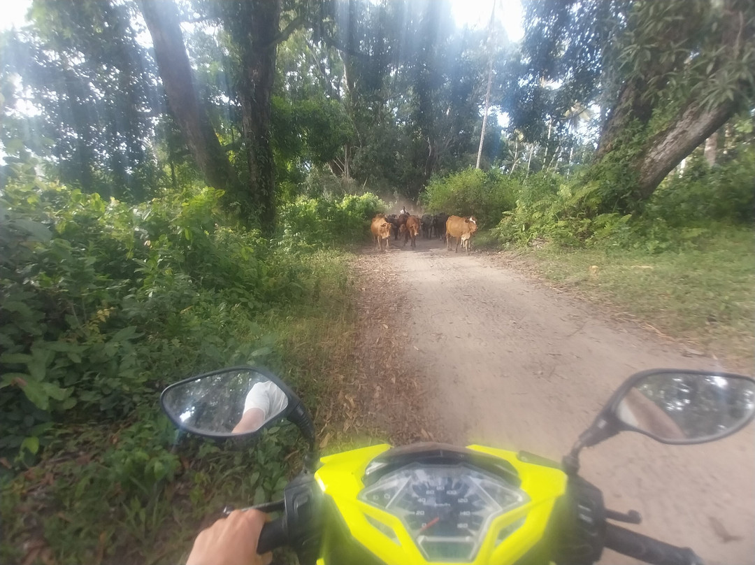 Zanzibar Car Hire & Expeditions-桑给巴尔市必去景点