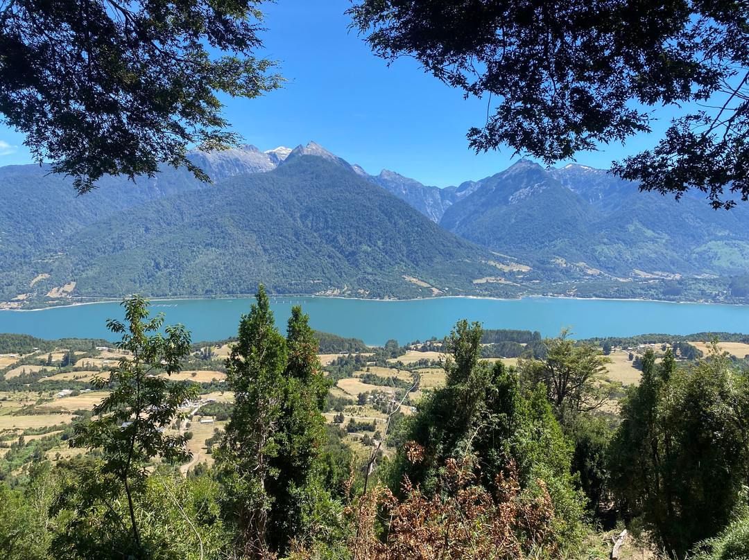 Coihue de Los Columpios景点图片