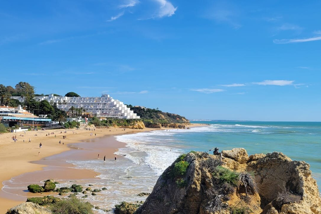 Monicca Collection Suites & Residences