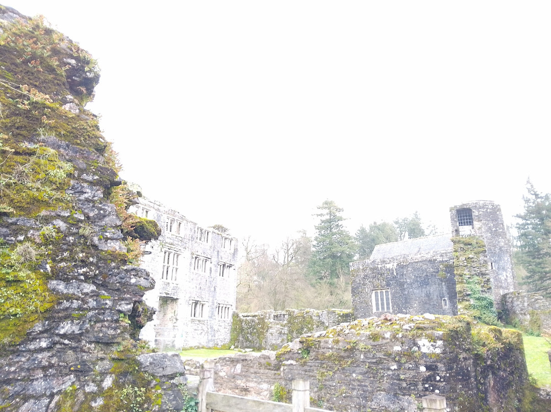 Berry Pomeroy Castle-托特尼斯必去景点