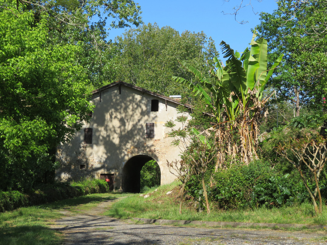 Parcours Découverte de Sorde l'Abbaye景点图片