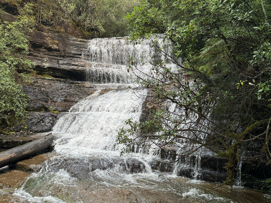 Lady Barron Falls景点图片