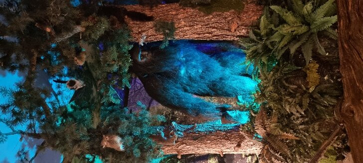 The Sasquatch Outpost-Bailey必去景点