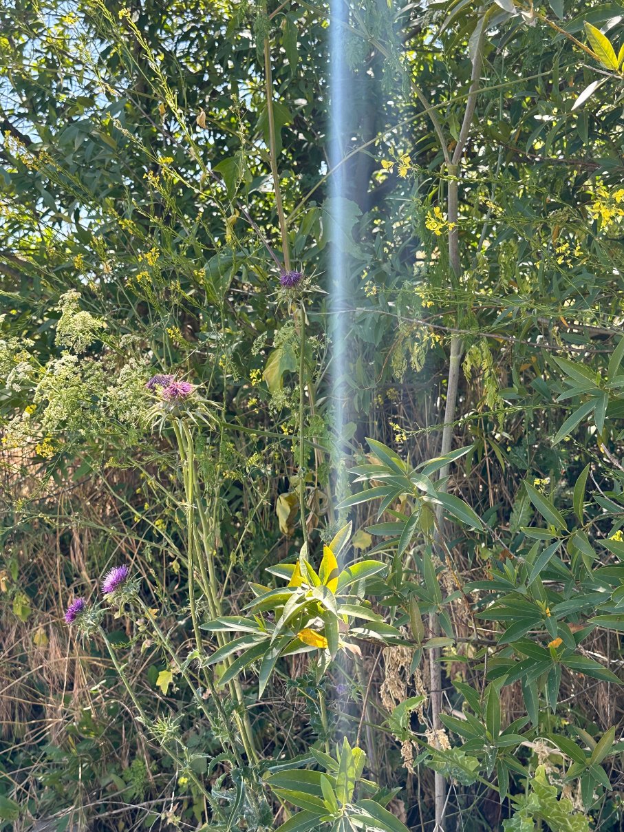 Casa de Fruta 小木屋, 旅馆 & 房车公园-官方