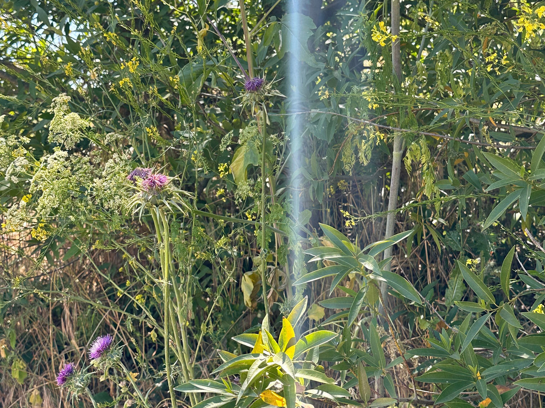 Casa de Fruta 小木屋, 旅馆 & 房车公园主图