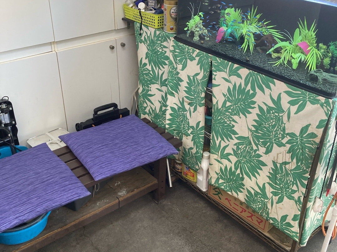 Takeuchi-Hamamatsucho必去景点