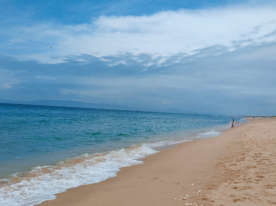 Comporta Beach景点图片