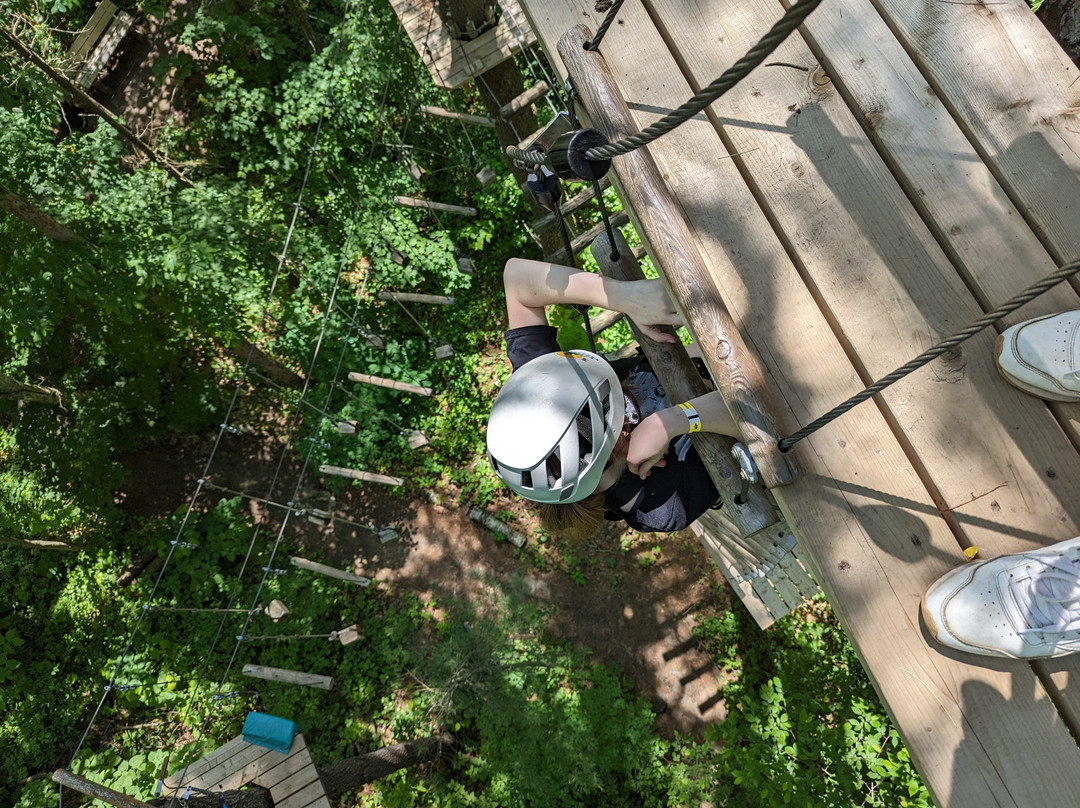 Treetop Trekking - Ganaraska-Campbellcroft必去景点