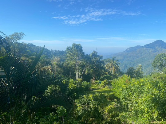 Chill Ville Hotel主图