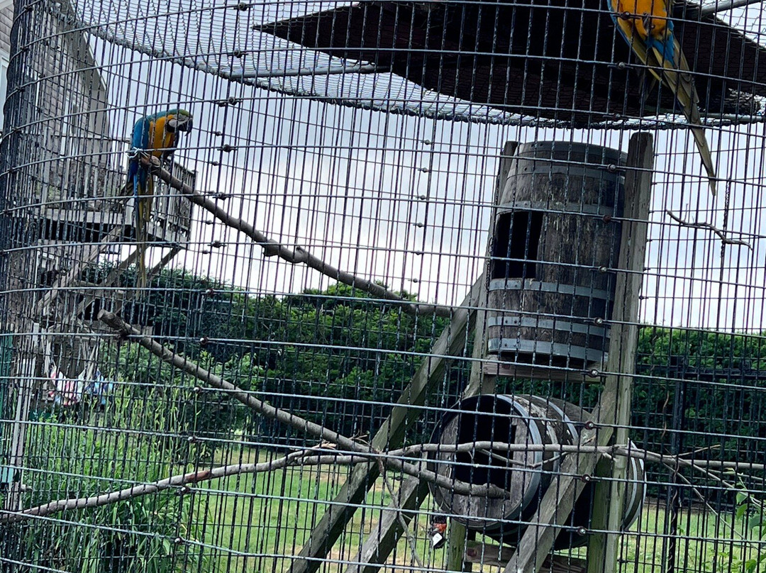 Kisma Preserve-Trenton必去景点